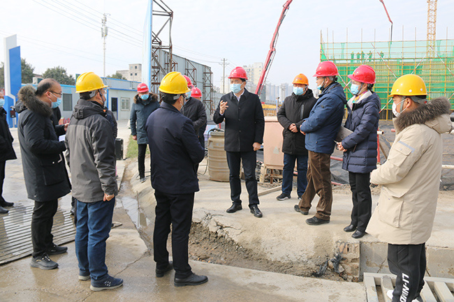 市长王启荣调研西苑新村项目建设情况(图2)