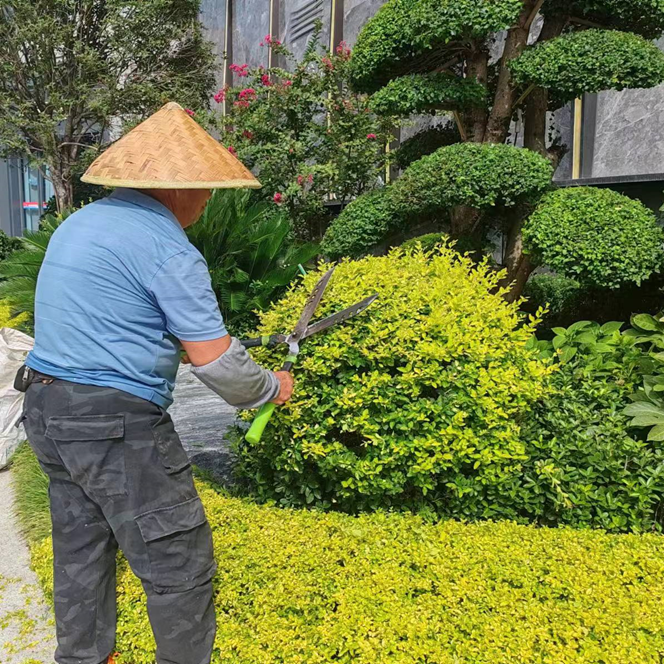 兰庭物业景观焕新提升行动 扮靓园区喜迎双节(图4) 兰庭物业景观焕新提升行动 扮靓园区喜迎双节(图4)