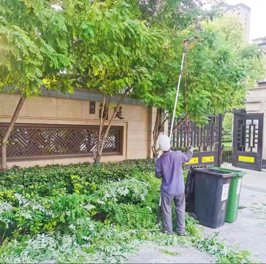 兰庭物业景观焕新提升行动 扮靓园区喜迎双节(图8) 兰庭物业景观焕新提升行动 扮靓园区喜迎双节(图8)