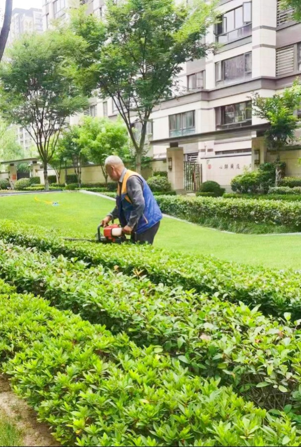 兰庭物业景观焕新提升行动 扮靓园区喜迎双节(图10) 兰庭物业景观焕新提升行动 扮靓园区喜迎双节(图10)