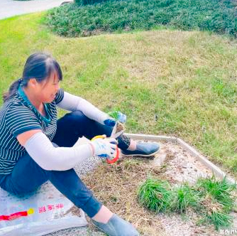 兰庭物业景观焕新提升行动 扮靓园区喜迎双节(图17) 兰庭物业景观焕新提升行动 扮靓园区喜迎双节(图17)